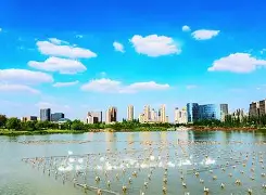 开云官网-V,?棨5@粶拥?x詁2M=CA的简单介绍